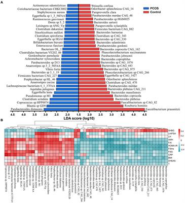 Multi-omics analyses reveal the specific changes in gut metagenome and serum metabolome of patients with polycystic ovary syndrome